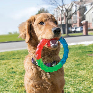 Kong Twistz Ring Dog Toy image 2