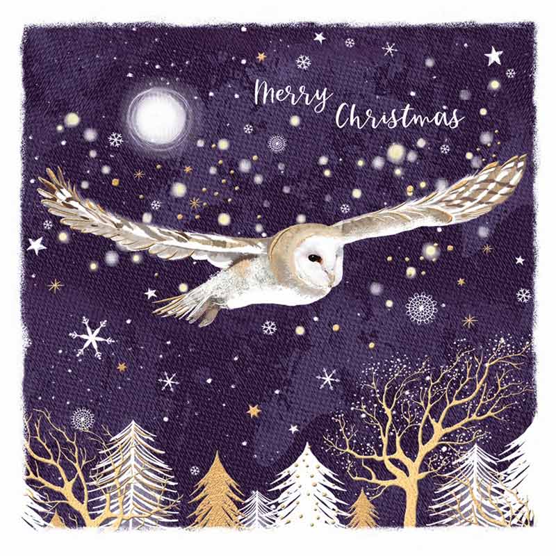 RSPB Small Square Christmas Cards - Owl & Forest (Pack of 10) image 0