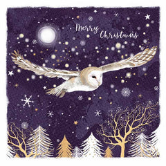 RSPB Small Square Christmas Cards - Owl & Forest (Pack of 10) image 0