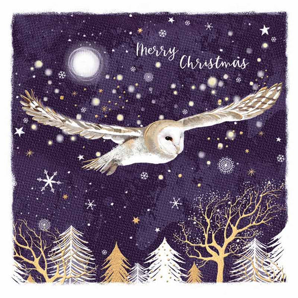 RSPB Small Square Christmas Cards - Owl & Forest (Pack of 10) image 0