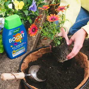 Westland Boost All Purpose Liquid Plant Food (1 litre) image 5