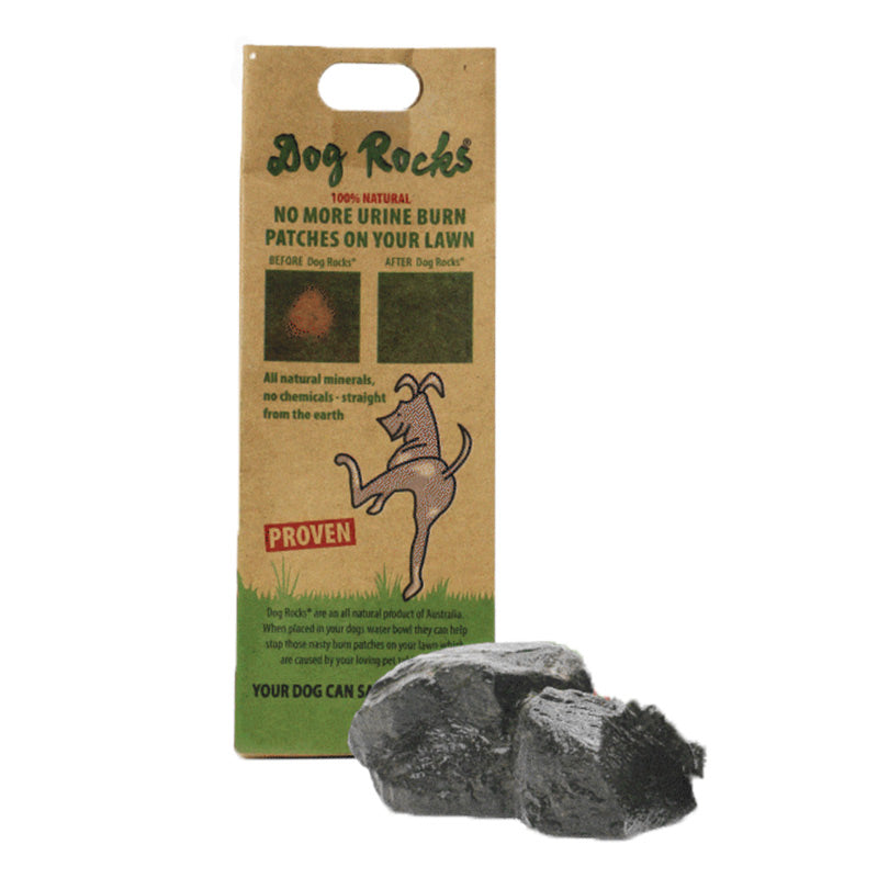 Dog Rocks for a Water Bowl image 0
