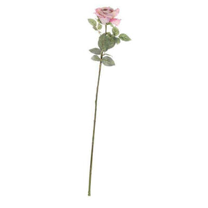 Single Antique Pink Olivia Rose Stem (73cm) image 1