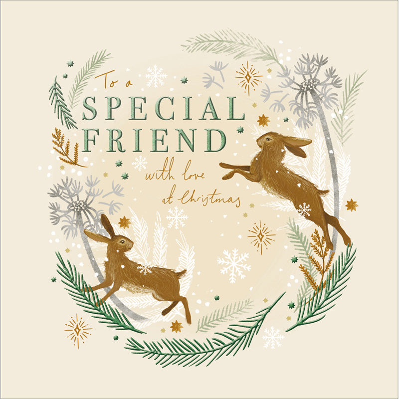 Woodmansterne Hares Special Friend Christmas Card image 0