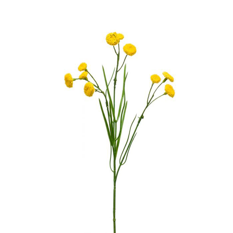 Yellow Matricaria Spray (49cm) image 0