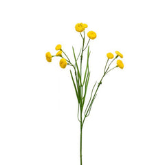 Yellow Matricaria Spray (49cm) image 0
