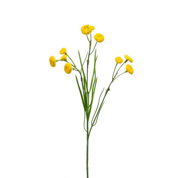 Yellow Matricaria Spray (49cm) image 0