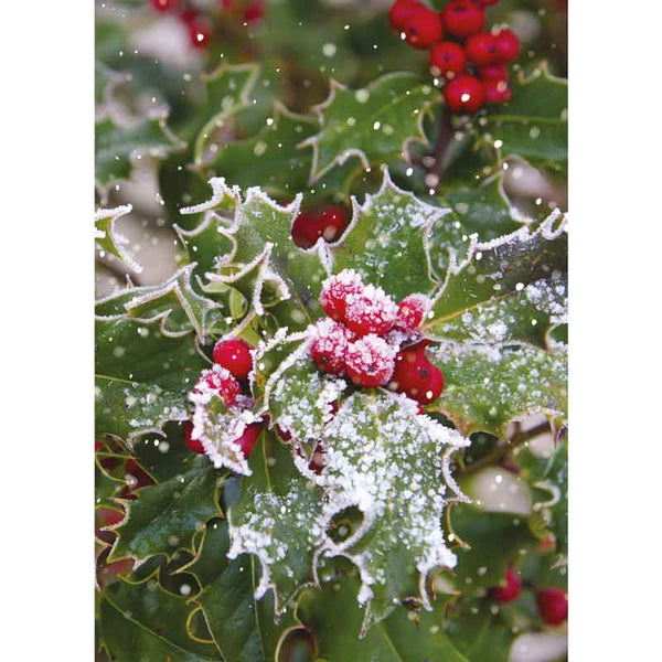Ling Design Big Value Box - Winter Scenes (Pack of 24) image 4