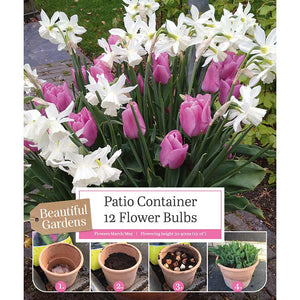 Tulip & Daffodil Patio Container Mix (12 Bulbs) image 0
