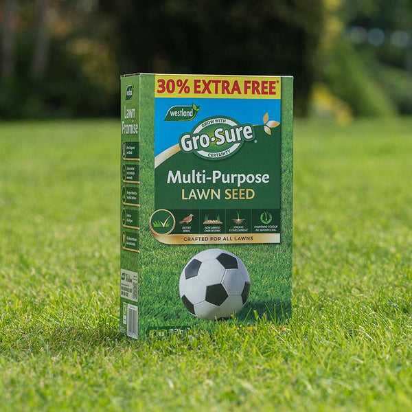 Westland Gro-Sure Multi-Purpose Lawn Seed 10sq.m. + 30% image 3