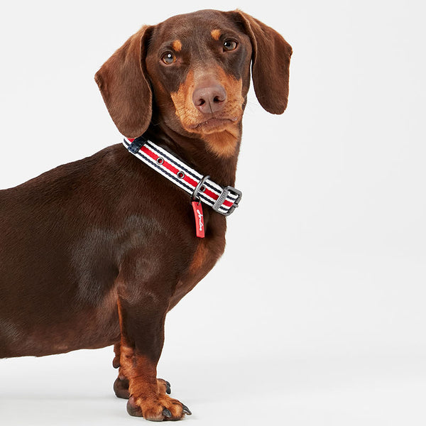 Joules Coastal Red Striped Dog Collar image 1