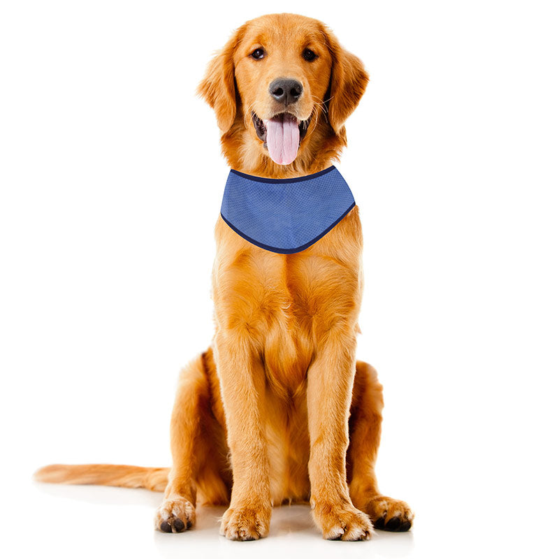 Zoon Cooling Dog Bandana image 0
