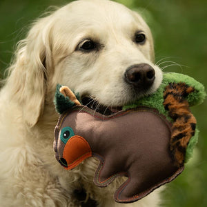 Petface Salina Squirrel Dog Toy image 4