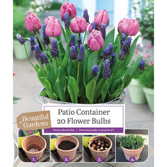 Patio Container Tulip and Muscari (20 Bulbs) image 0