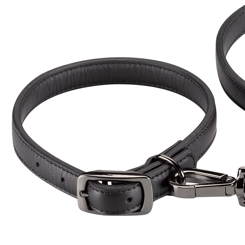 Zoon Luxe Leather Jet WalkAbout Collar  image 0