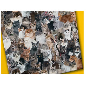 The World's Most Difficult Cats 529 Piece Jigsaw Puzzle image 1