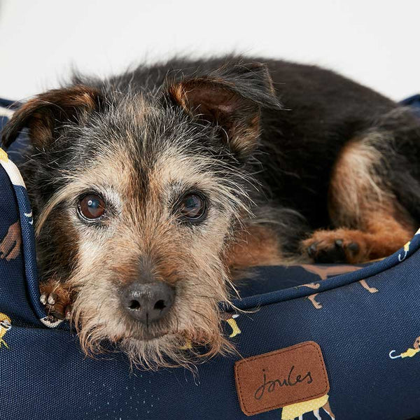 Joules Coastal Dog Print Box Dog Bed image 1