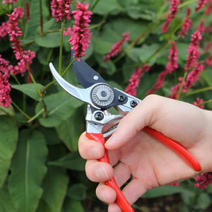 Darlac Small Bypass Pruner image 1