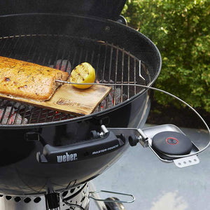 Weber Smart Probe & Grate Sensor image 3
