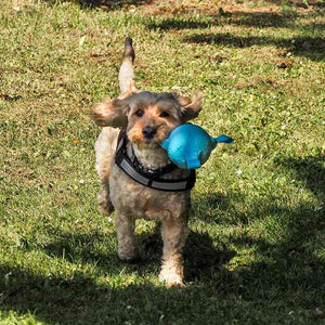 Zoon Uber-Activ TriBall Dog Toy (Assorted Designs) image 5