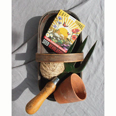 ‘Love Blooms Eternal’ Native Plant Pot Wild Flower Seed Mix (1 Packet) image 0
