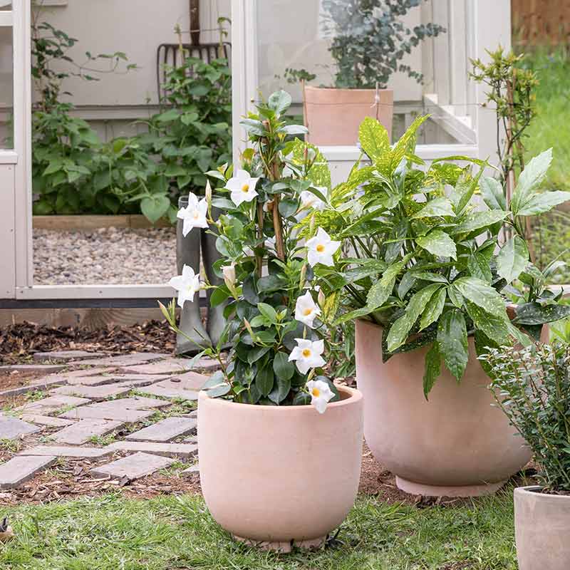 Ivyline Outdoor Cartmel Terracotta Planter image 0