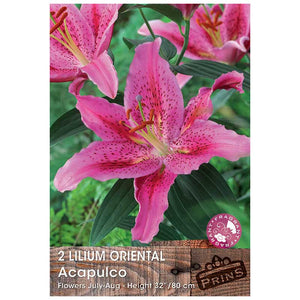 Lilium 'Oriental Acapulco' (2 Bulbs) image 0