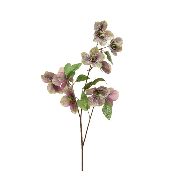 Everlands Purple Hellebore Spray (56cm) image 0
