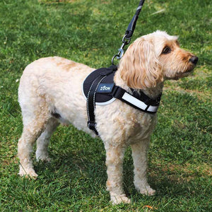 Zoon Jet Advanced Slip-on Walkabout Dog Harness image 3