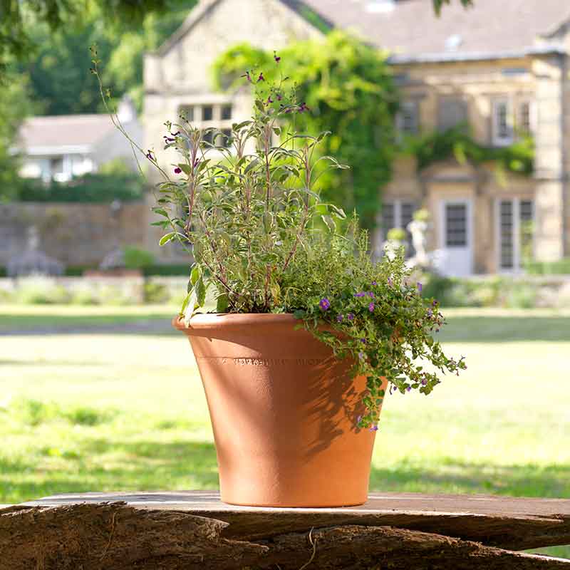 Yorkshire Flowerpots Ripon Pot image 0