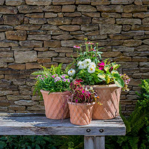 Woodlodge Terracotta Aladdin Pot image 2