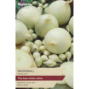 Snowball Onion Sets (Pack of 50) image 0