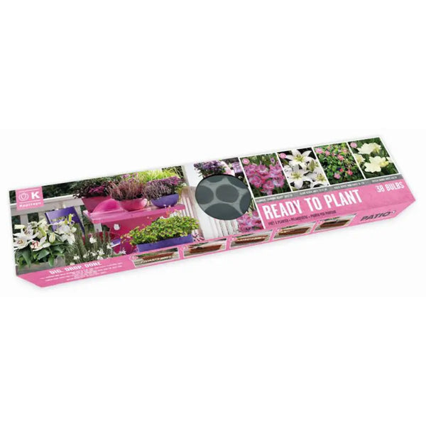 Ready to Plant Balcon-O-Mat 'Pink & White' (38 bulbs) image 0