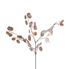 Everlands Bronze Silver Dollar Spray (75cm) image 0