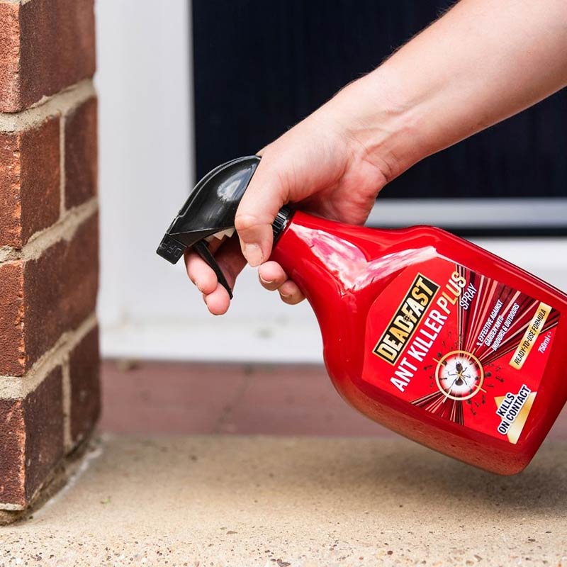 Deadfast Ant Killer Plus - 750ml Spray Bottle image 0