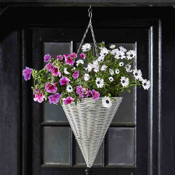 Smart Garden Seashell Faux Rattan Hanging Cone (14-inch) image 0