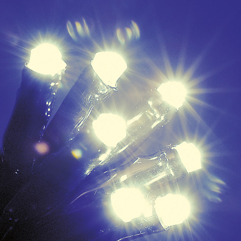 SnowTime 100 Multi-Function LED Lights with Timer - Warm White image 0