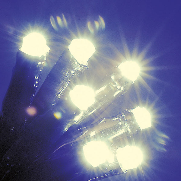 SnowTime 100 Multi-Function LED Lights with Timer - Warm White image 0