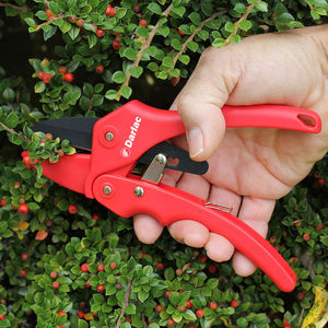 Darlac Standard Ratchet Pruner image 2