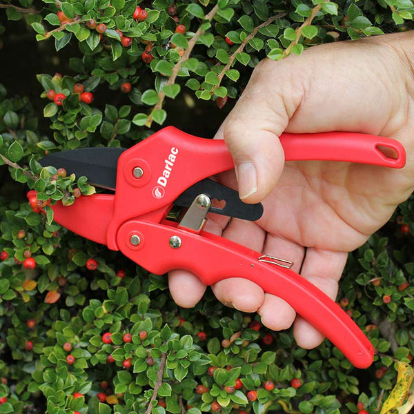Darlac Standard Ratchet Pruner image 2