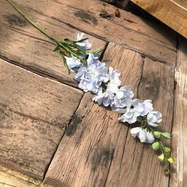 Real Garden Delphinium Light Blue Stem (91cm) image 0