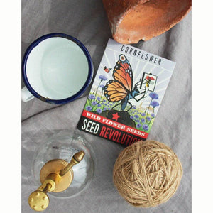 Cornflower Wild Flower Seeds (1 Packet) image 1