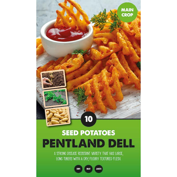 Pentland Dell Main Crop Seed Potatoes - Pack of 10 image