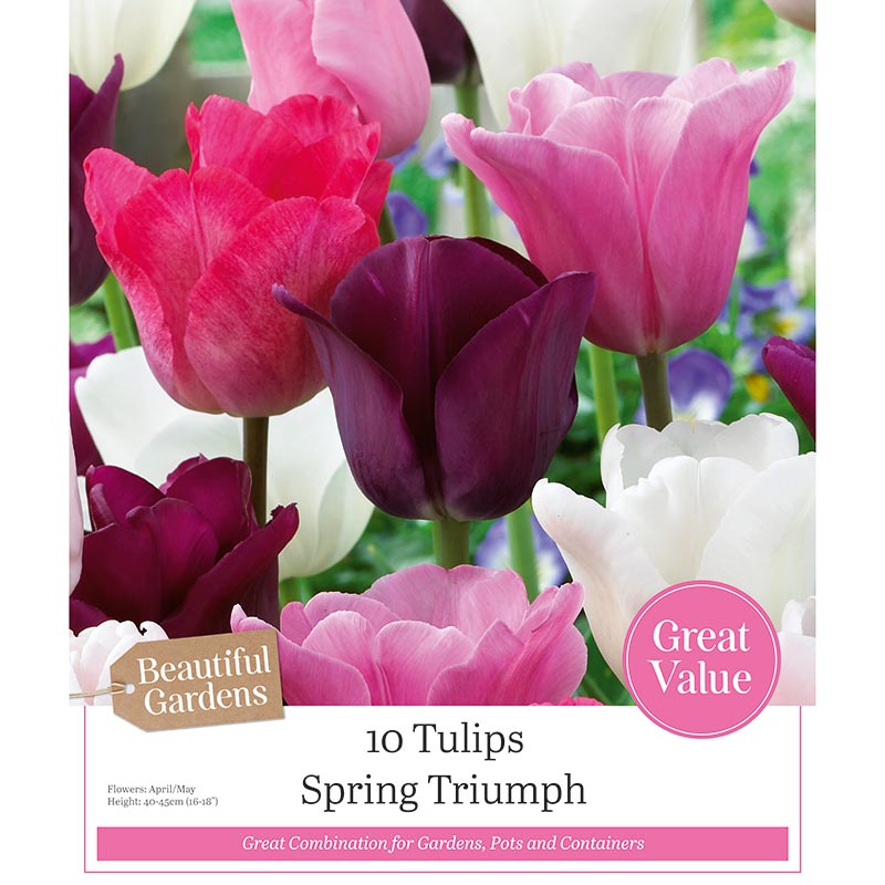 Tulip ‘Spring Triumph’ Mixed Colours (10 Bulbs) image 0