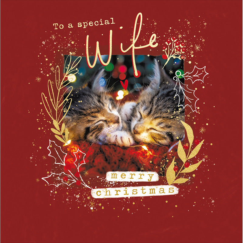 Woodmansterne Cute Kittens Wife Christmas Card image 0