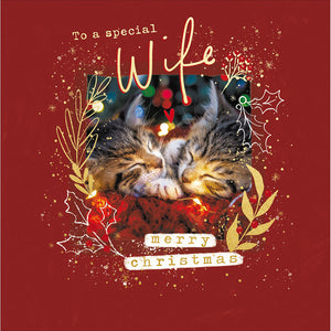 Woodmansterne Cute Kittens Wife Christmas Card image 0