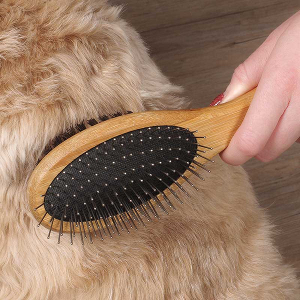 Zoon Double Sided Brush image 1