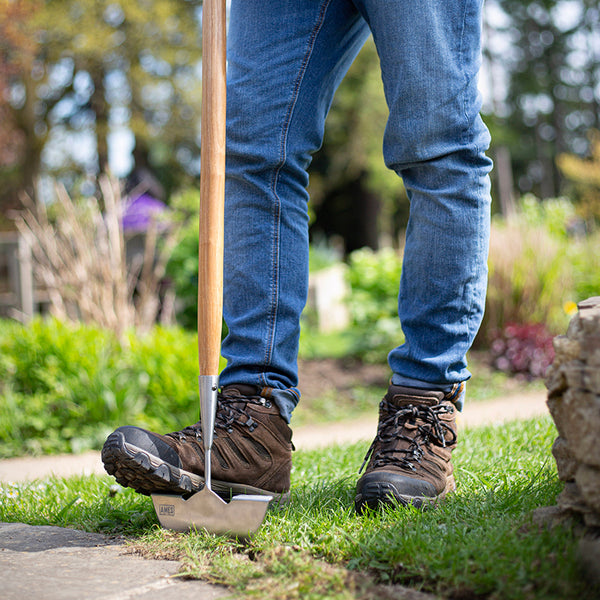 AMES Lawn Edger Stainless Steel image 1