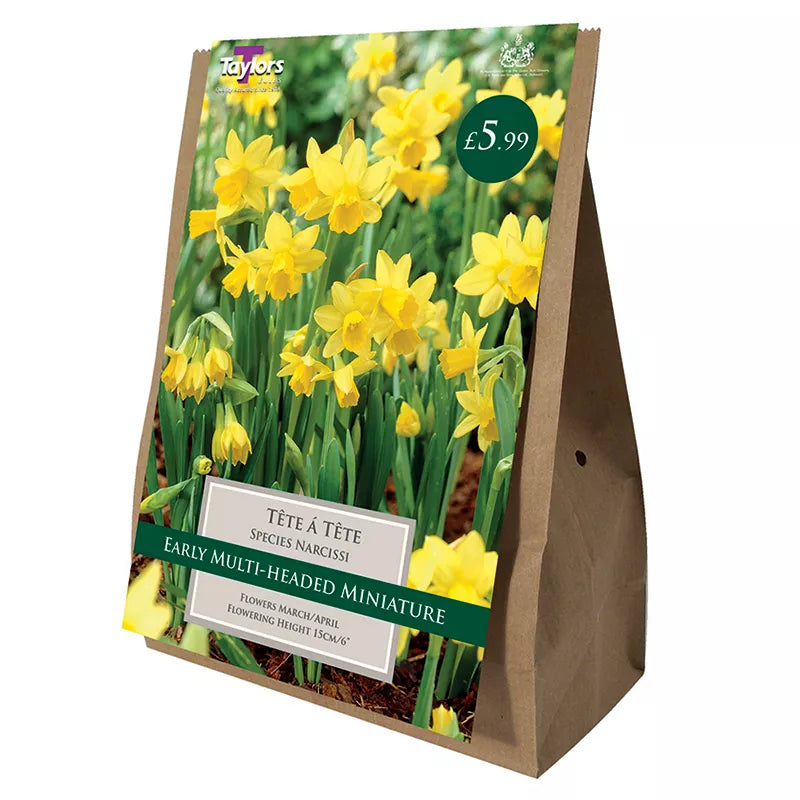 Narcissus ‘Tête-à-tête’ Daffodils (18 bulbs) image 0