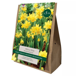 Narcissus ‘Tête-à-tête’ Daffodils (18 bulbs) image 1